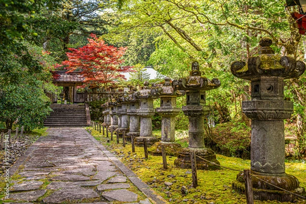 Fototapeta View at the Patch of Rinnoji garden in Nikko - Japan