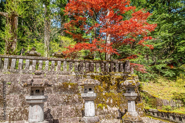 Fototapeta View at the Rinnoji garden in Nikko, Japan