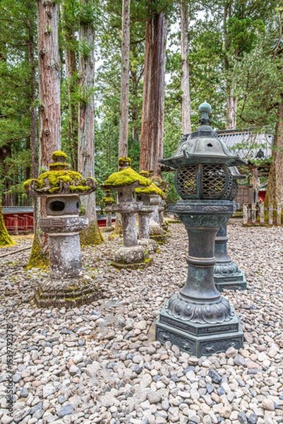 Fototapeta In the forest Patch of Nikko in Japan