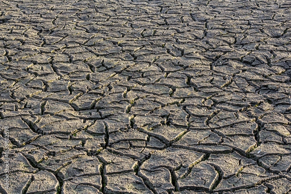 Obraz Dried cracked earth in a barren landscape showcasing the impact of drought conditions on soil quality and environment