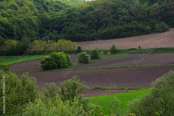 Obraz Lush green fields and rich brown soil highlight the beauty of a countryside landscape during late spring