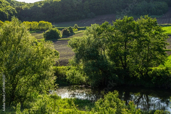 Obraz Serene countryside landscape with lush trees calm water and rolling fields during a sunny afternoon