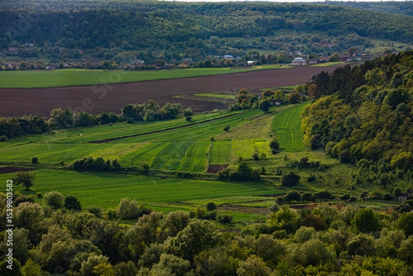 Obraz Vibrant green landscape under a bright sky with rolling hills and fields during late afternoon in a tranquil rural area