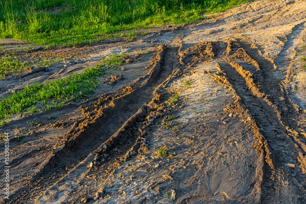 Obraz Tracks left by vehicle tires on a dirt path surrounded by lush green grass at sunset during the golden hour