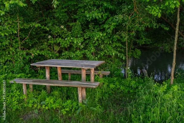 Obraz Wooden picnic table and benches set in a serene green setting beside a calm stream during late afternoon