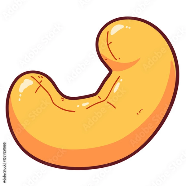 Obraz One ripe roasted cashew nut, doodle cartoon clip art, isolated clean and simple vector illustration