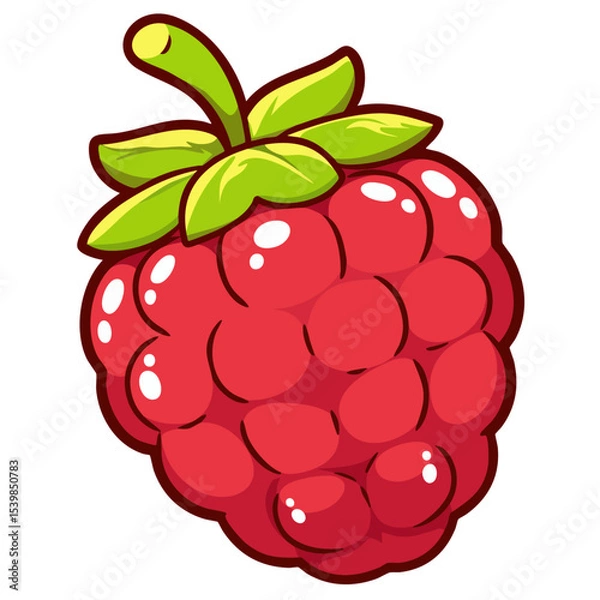 Obraz Ripe fresh raspberry berry with green stem, doodle cartoon clip art, isolated clean and simple vector illustration