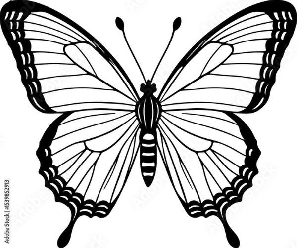 Fototapeta  Elegant Butterfly Outline with Detailed Wing Patterns: A Beautiful Black and White Illustration for Nature-Inspired Designs and Coloring.