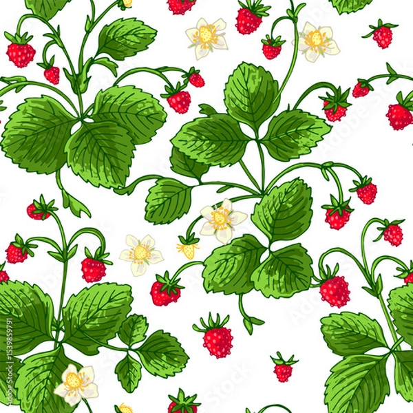 Obraz Pattern vector Strawberry berries color line. Summer flowers and berries. Harvest, farm products.