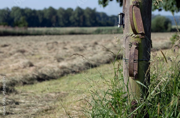 Fototapeta A summer pasture in Bavaria. In the foreground, an old wooden post marks a driveway. In the background, freshly harvested hay lies drying in the meadow.