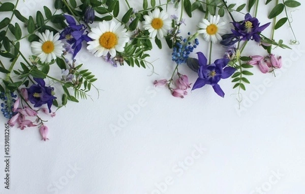 Fototapeta A summer bouquet. Wildflowers. A flower arrangement with a place for text.