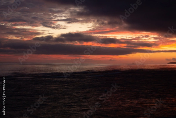 Fototapeta 奄美大島の自然。朝の風景。