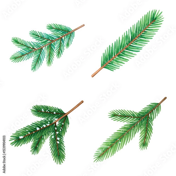 Fototapeta set of Christmas tree branches, New Year vectors, Christmas, holiday