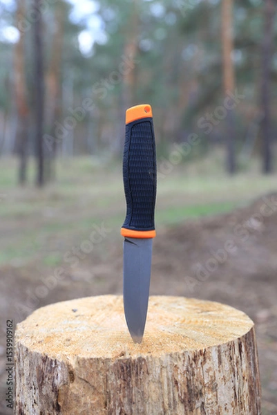 Obraz knife stuck in wooden stump