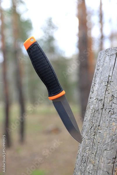 Obraz knife stuck in wood