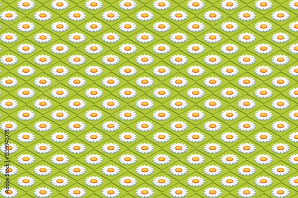 Fototapeta seamless patterns floral