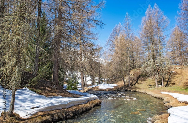 Fototapeta view of alpine river  crossing a forest in mountain with some snow in tarentaise valley in Savoie france Le Monal sainte Foy