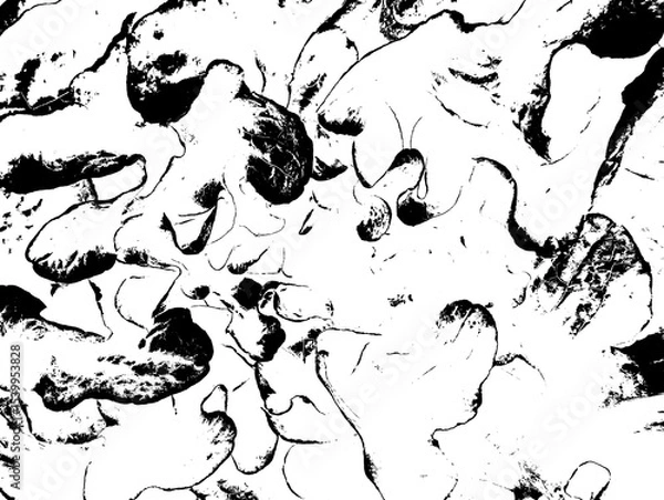 Obraz black and white background