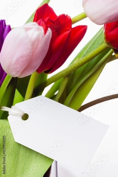 Fototapeta Tulip bouquet is showing in flat design, white backdrop, gift tag tied to stem, copy space