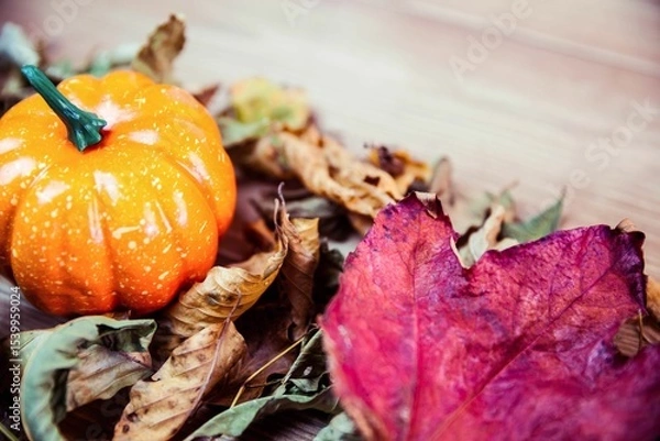 Fototapeta High angle view of pumpkins surrounded by leaves on table