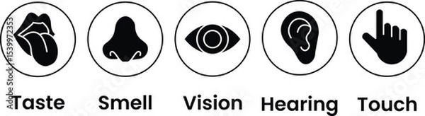 Fototapeta Human senses icon set. Vision eye, smell nose, hearing ear, touch hand, taste mouth with tongue. Simple line icons and black circle. Five senses of human nervous system. Vector illustration.	