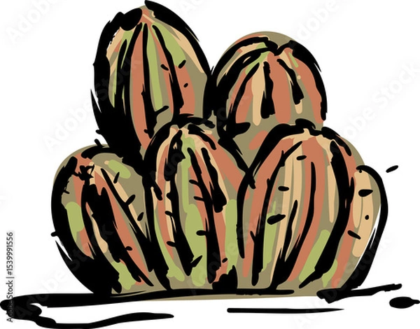 Fototapeta Desert  Cactus  hand drawn  tropical illustration Element