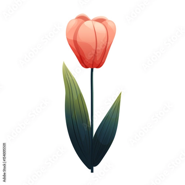 Fototapeta Tulip. Delicate flower with gradient shading. Isolated on white background, suitable for spring design, cards, patterns or packaging. Vector.