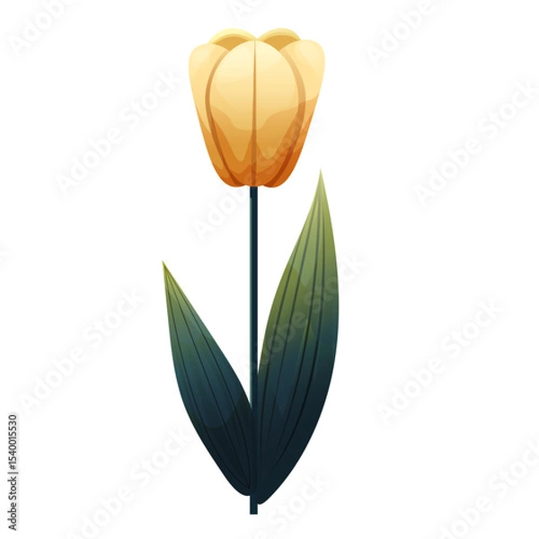 Fototapeta Tulip. Delicate flower with gradient shading. Isolated on white background, suitable for spring design, cards, patterns or packaging. Vector.