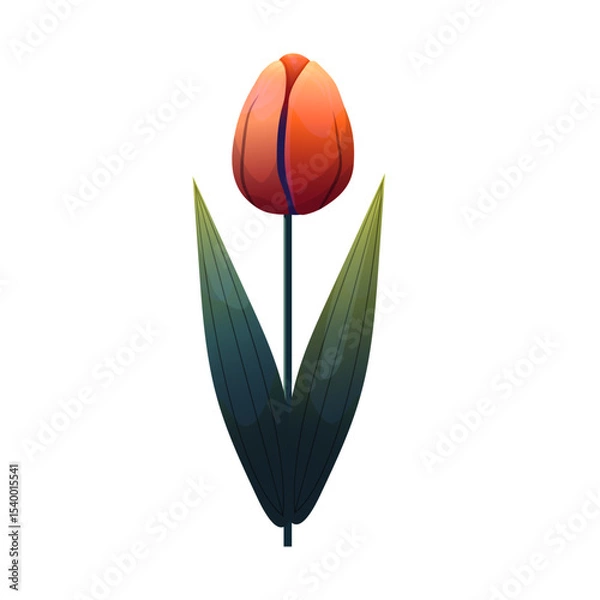 Fototapeta Tulip. Delicate flower with gradient shading. Isolated on white background, suitable for spring design, cards, patterns or packaging. Vector.