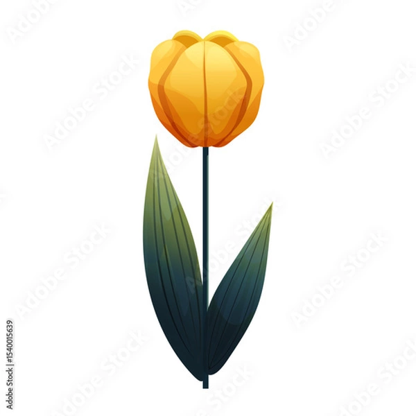 Fototapeta Tulip. Delicate flower with gradient shading. Isolated on white background, suitable for spring design, cards, patterns or packaging. Vector.