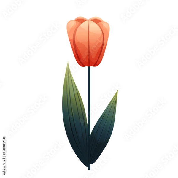 Fototapeta Tulip. Delicate flower with gradient shading. Isolated on white background, suitable for spring design, cards, patterns or packaging. Vector.