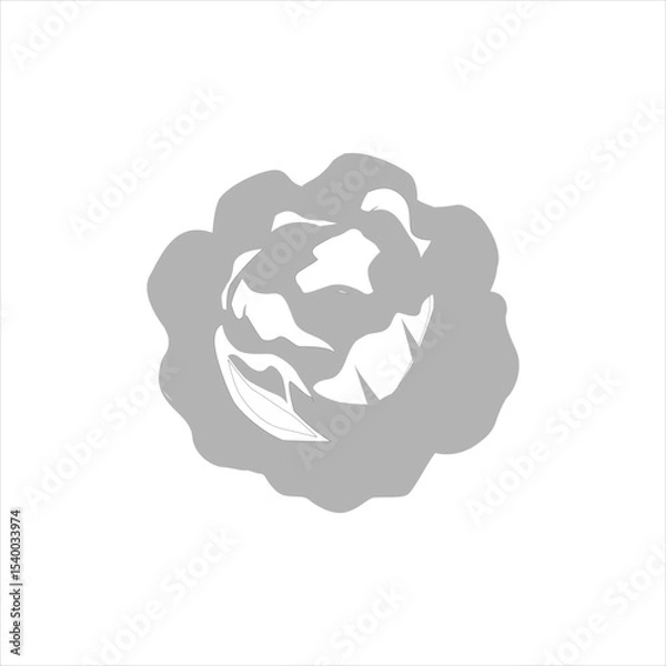 Fototapeta cabbage icon on white background, vector illustration