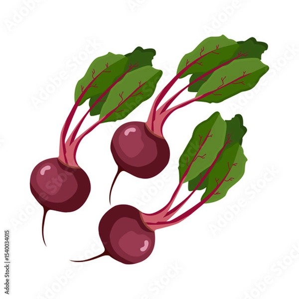 Fototapeta beetroot icon on white background, vector illustration