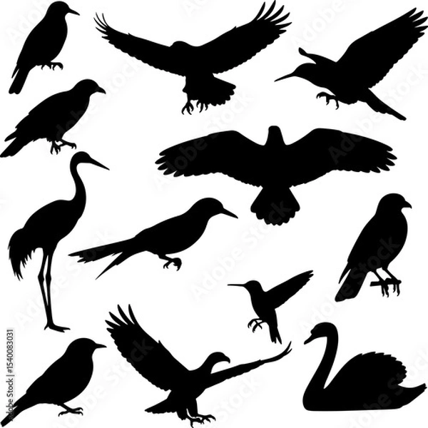 Obraz Birds Mix_Silhouetter Vector 0002.eps
