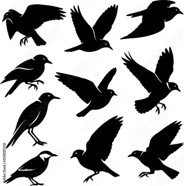 Obraz Birds Mix_Silhouetter Vector 0004.eps