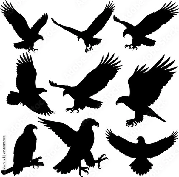 Obraz Eagle Head Group_Silhouette Vector_0005.eps