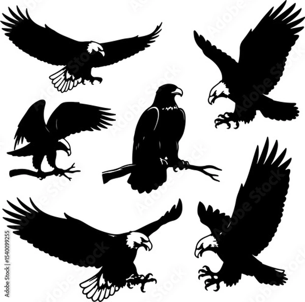 Obraz Eagle Head Group_Silhouette Vector_0006.eps