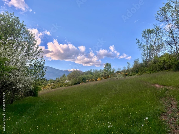 Fototapeta Scenic view of rolling hills, mountains, and a cloudy sky under sunlight. Mountain range with wildflowers. Landscape with Rolling Hills and Cloudy 