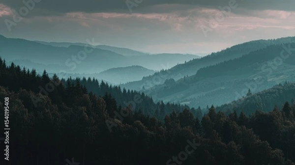 Obraz deep forest with hills in background fading away