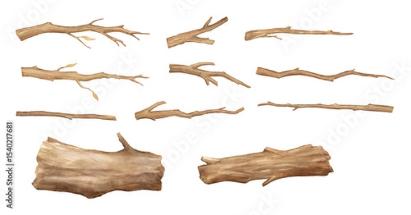 Fototapeta Watercolor tree and branch set, wood trunk isolated on white background. Hand painted illustrations