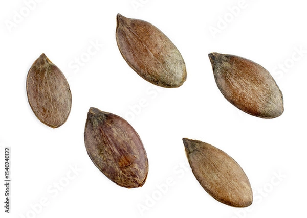 Obraz Pumpkin seeds isolated on a white background, contour