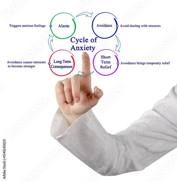Fototapeta Components of Cycle of Anxiety
