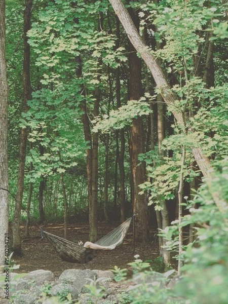 Fototapeta Hamac dans un parc boisé, en forêt. Paysage d'été.