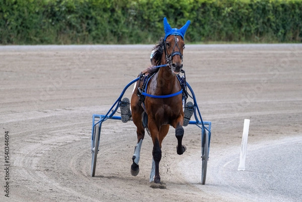 Obraz Modena, Italy – 05 18 2025: Racing horses trots and rider on a track of stadium. Competitions for trotting horse racing. Horses compete in harness racing. Horse runing at the track with rider.

