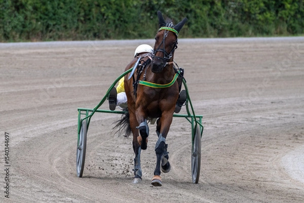 Obraz Modena, Italy – 05 18 2025: Racing horses trots and rider on a track of stadium. Competitions for trotting horse racing. Horses compete in harness racing. Horse runing at the track with rider.

