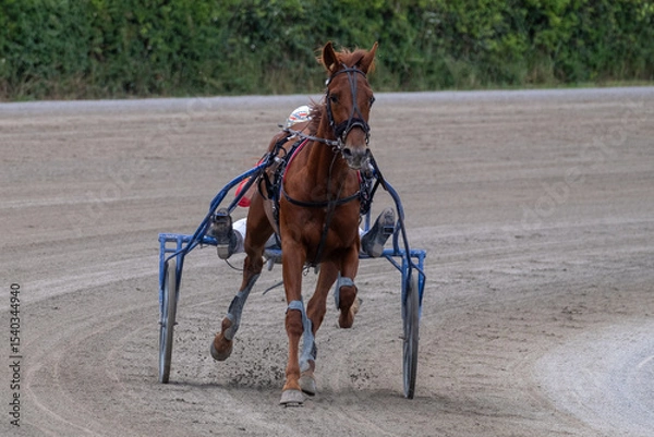 Obraz Modena, Italy – 05 18 2025: Racing horses trots and rider on a track of stadium. Competitions for trotting horse racing. Horses compete in harness racing. Horse runing at the track with rider.

