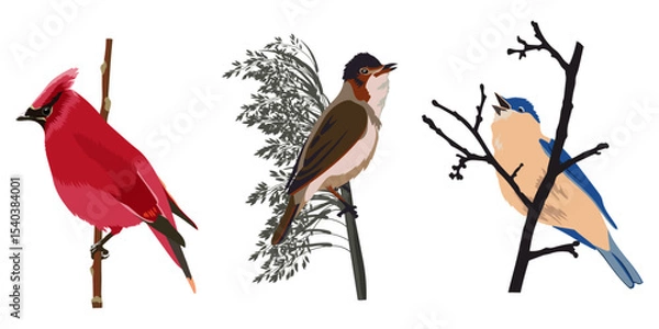 Fototapeta Colorful birds on branches. Vector illustration	
