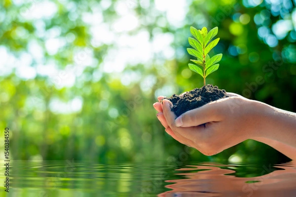 Obraz environment Earth Day Water Tree Hand. Green Hand Holding Nature Environmental Conservation and Hope