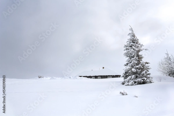 Obraz Snowy path with footprints in snow following to the house near the fir in winter after snowfall