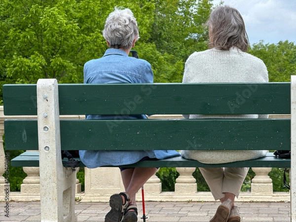Fototapeta Couple de personnes âgées assis sur un banc dans le parc, vue arrière
